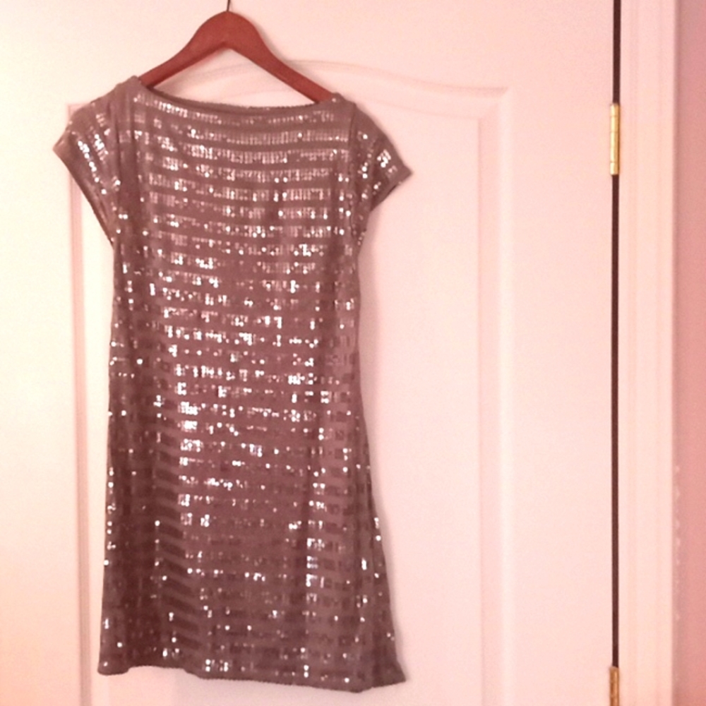 Medium Sequin Silver Grey Dress